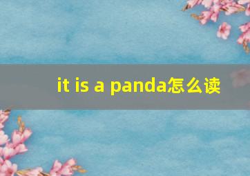 it is a panda怎么读